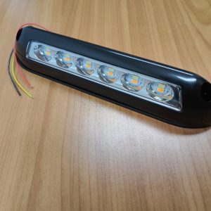 Dual LED light