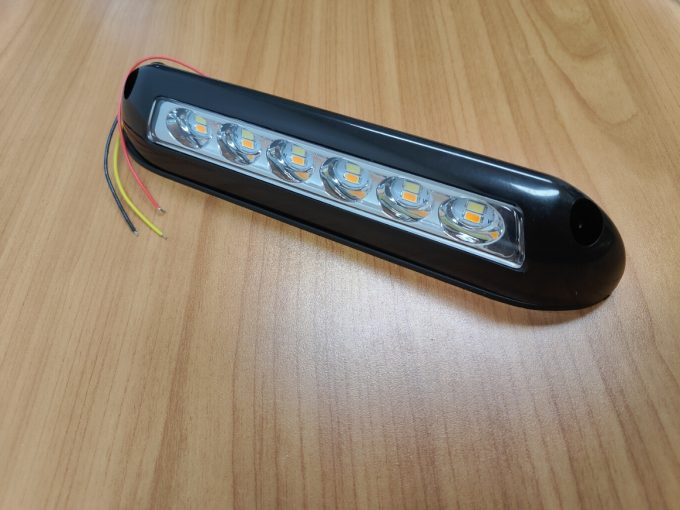 Dual LED light