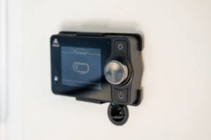 blue-tongue-hybrid-rx16-switch