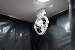 blue tongue hybrid XHL 12V fan