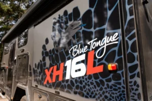 blue tongue hybrid XHL