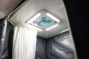 blue tongue hybrid XHL ensuite
